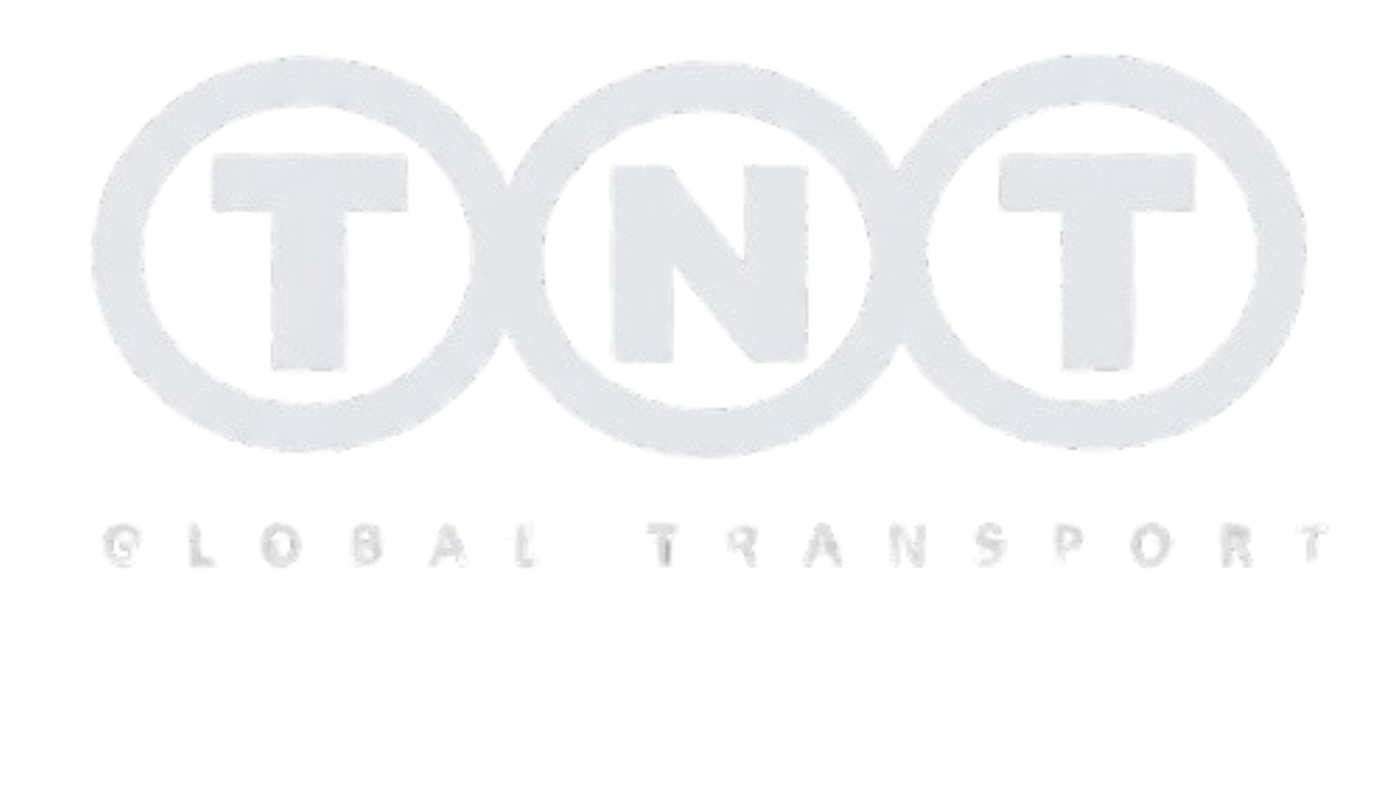 TNT GLOBAL TRANSPORT